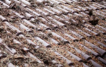 Lyne roof cleaning companies