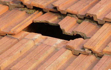 roof repair Lyne, Scottish Borders